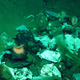 A collection of garbage found two miles beneath the surface